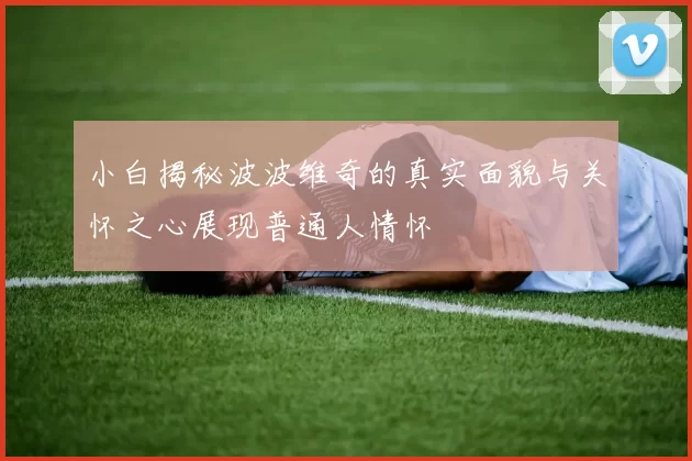 小白揭秘波波维奇的真实面貌与关怀之心展现普通人情怀
