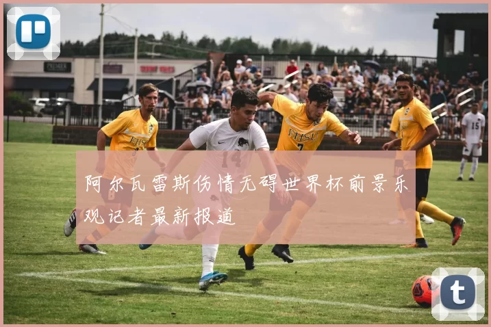 阿尔瓦雷斯伤情无碍世界杯前景乐观记者最新报道