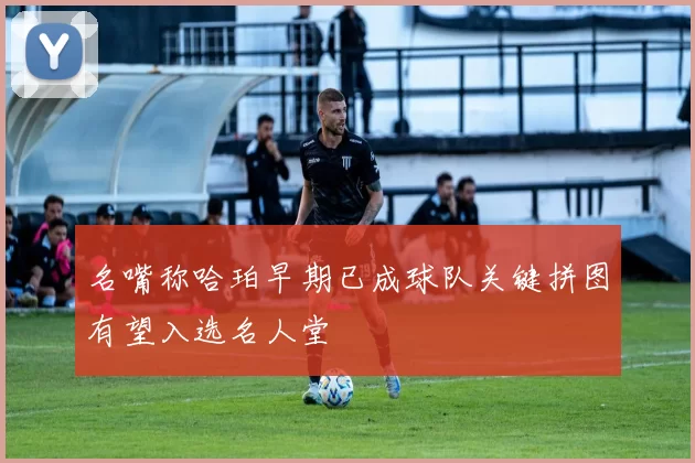 名嘴称哈珀早期已成球队关键拼图有望入选名人堂
